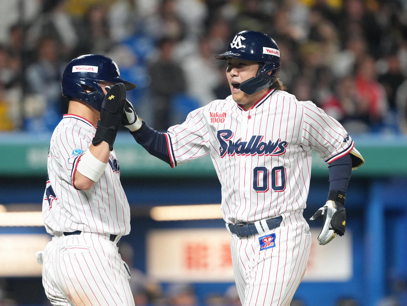 ヤクルト対阪神　7回裏ヤクルト1死一、二塁、赤羽由紘は左越え3点本塁打を放ちタッチを交わす（撮影・足立雅史）