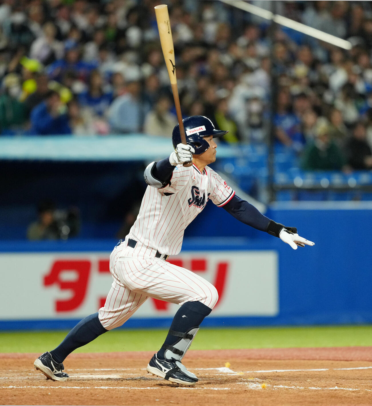 ヤクルト茂木栄五郎（2025年撮影）