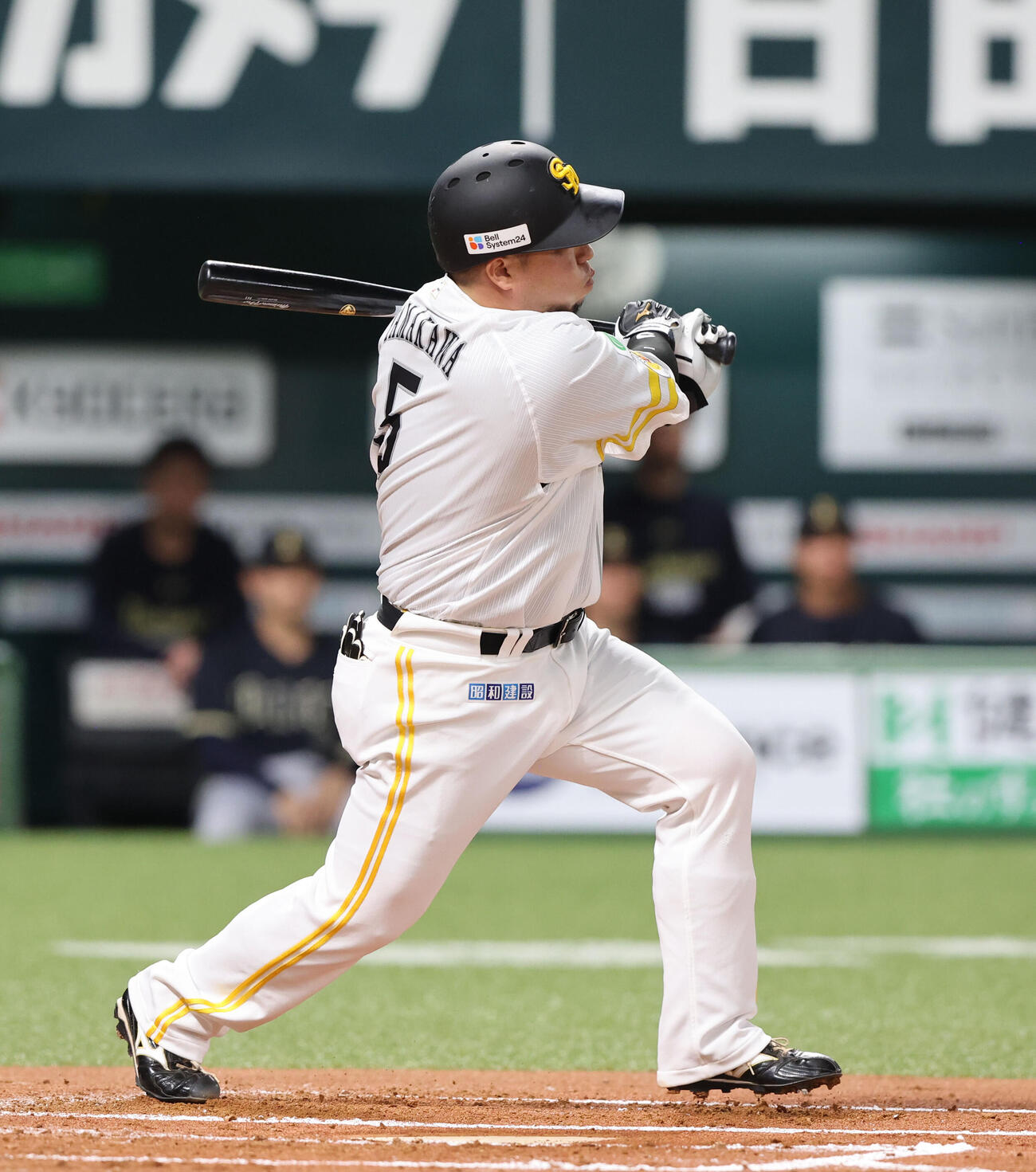 山川穂高（2026年4月撮影）