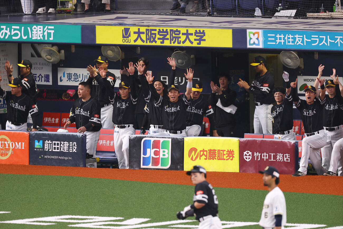 オリックス対ソフトバンク　6回表ソフトバンク2死満塁、栗原陵矢の同点3点適時三塁打に盛り上がるソフトバンクベンチ（撮影・上田博志）