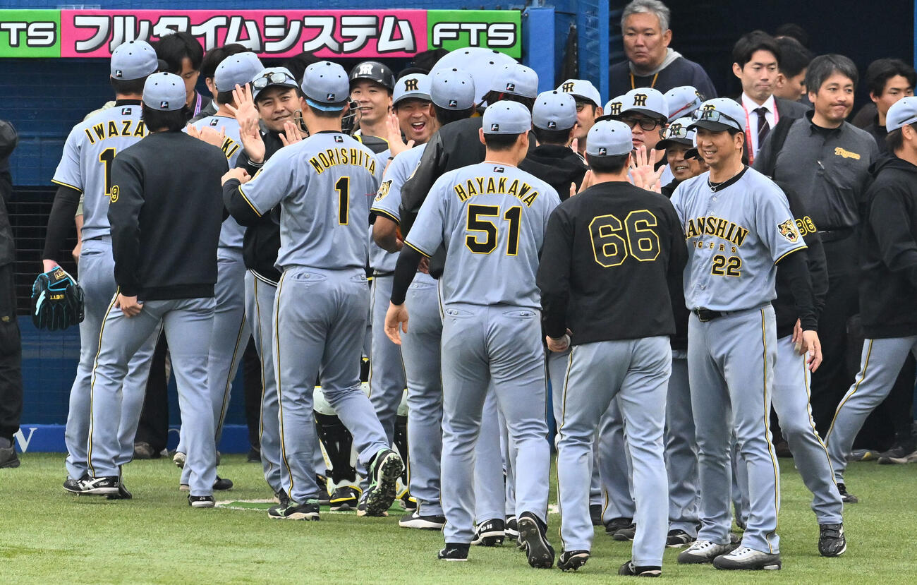 ヤクルト対阪神　試合に勝利し選手を迎える阪神藤川球児監督（右）（撮影・滝沢徹郎）