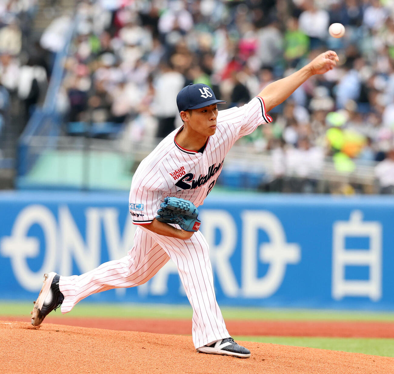 ヤクルト対阪神　力投するヤクルト先発の山野太一）（撮影・浅見桂子）