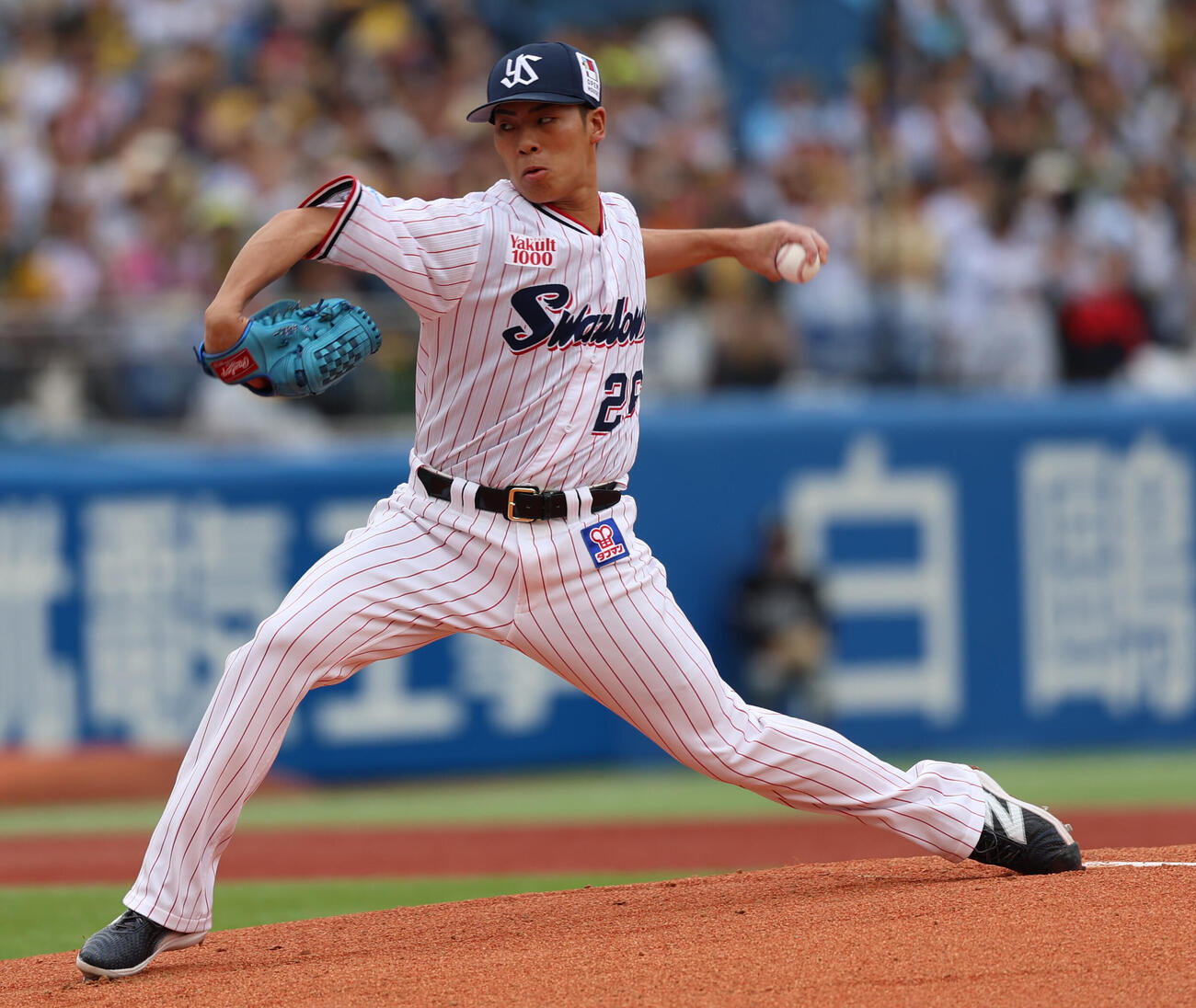 ヤクルト対阪神　力投するヤクルト先発山野太一（撮影・水谷安孝）