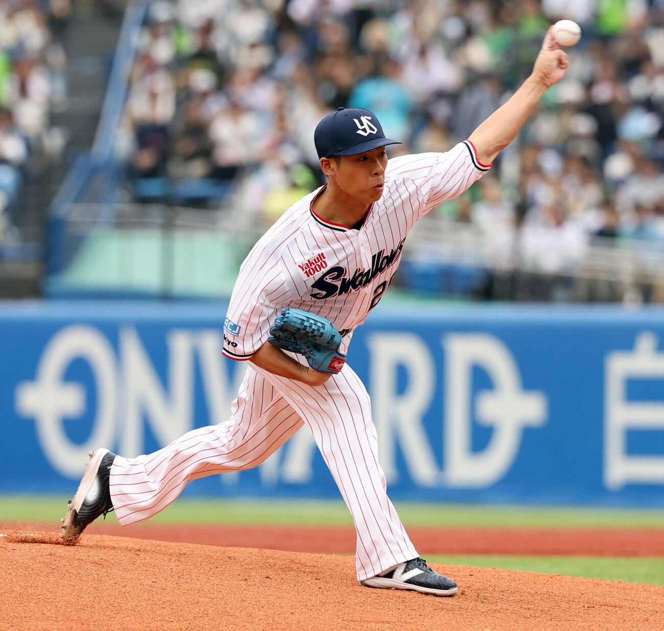 ヤクルト対阪神　力投するヤクルト先発の山野太一）（撮影・浅見桂子）