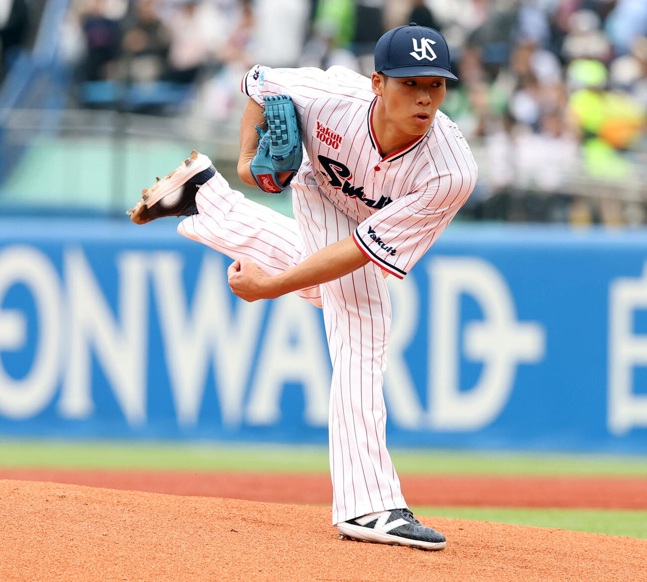 ヤクルト対阪神　力投するヤクルト先発の山野太一）（撮影・浅見桂子）