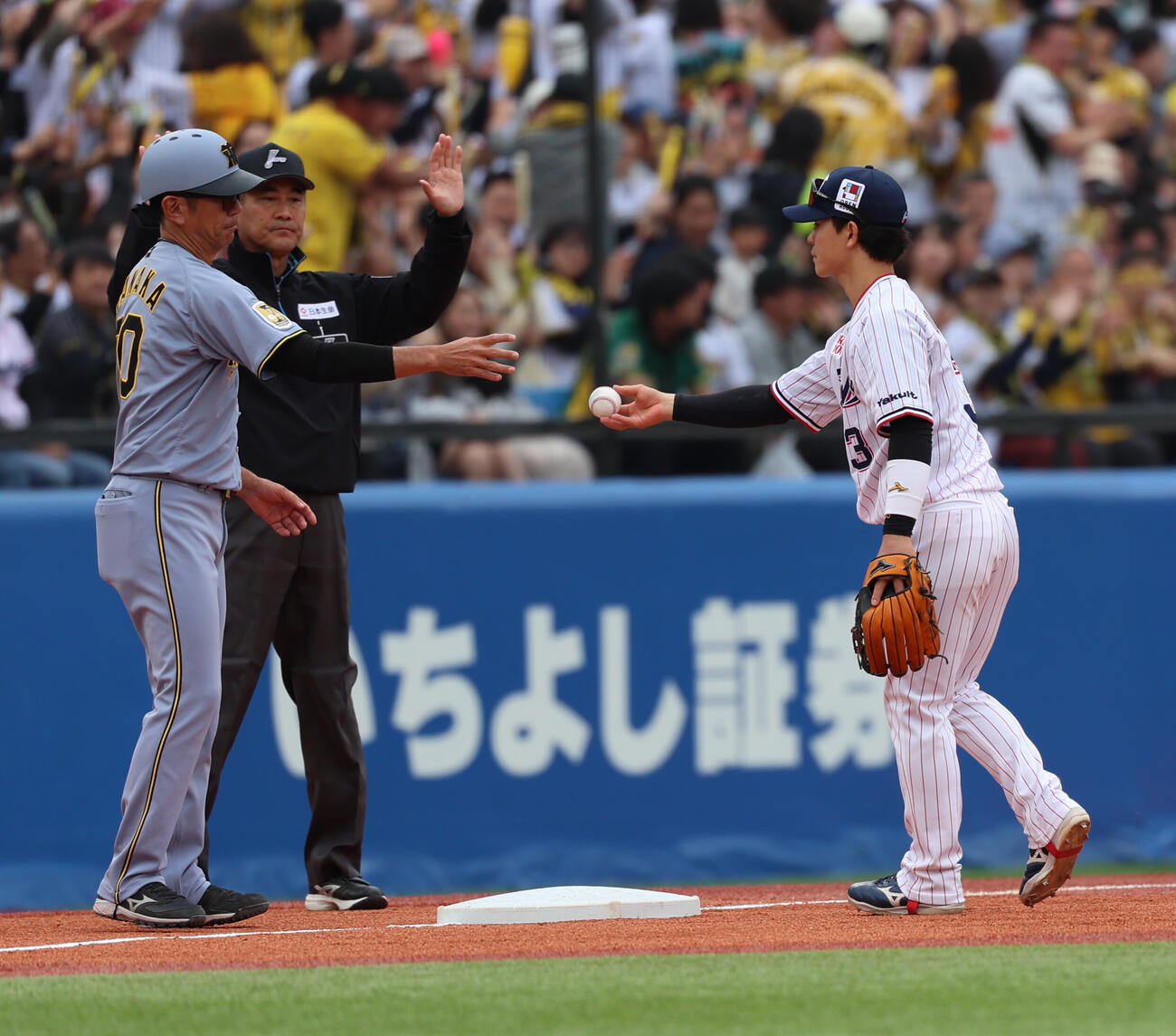 ヤクルト対阪神　3回表阪神2死一塁、ベンチに届けられるプロ初安打を放った岡城快生の記念ボール（撮影・水谷安孝）