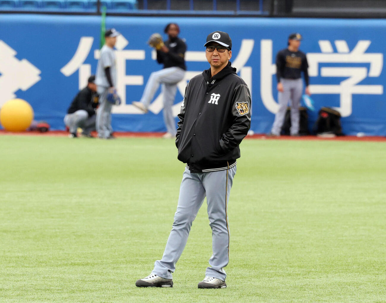 ヤクルト対阪神　練習を見つめる阪神藤川球児監督（撮影・浅見桂子）