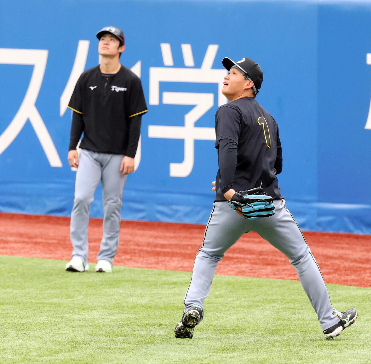 ヤクルト対阪神　外野ノックを受ける阪神森下翔太（右）。奥は中野拓夢（撮影・浅見桂子）