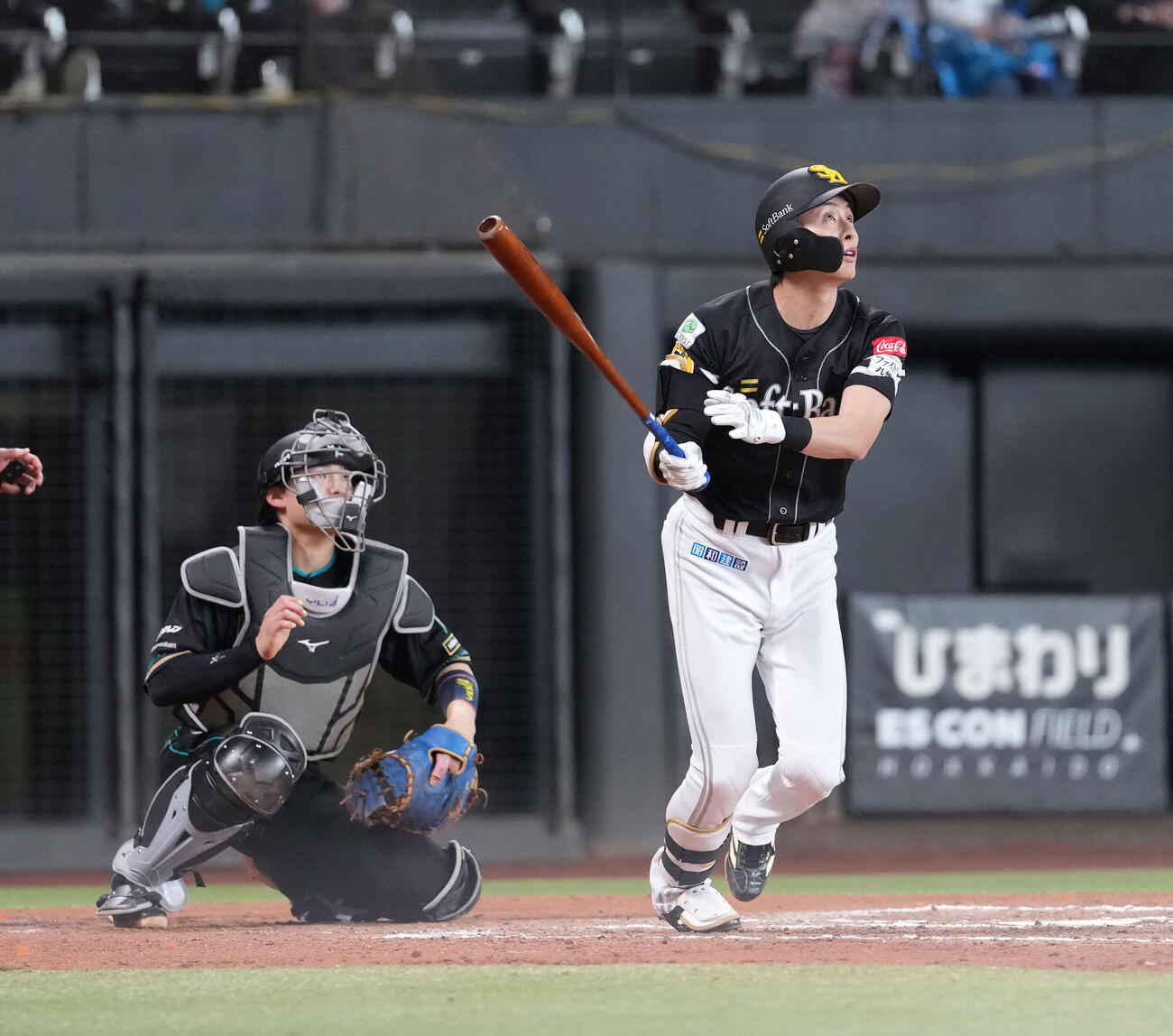ソフトバンク周東佑京（2026年4月撮影）