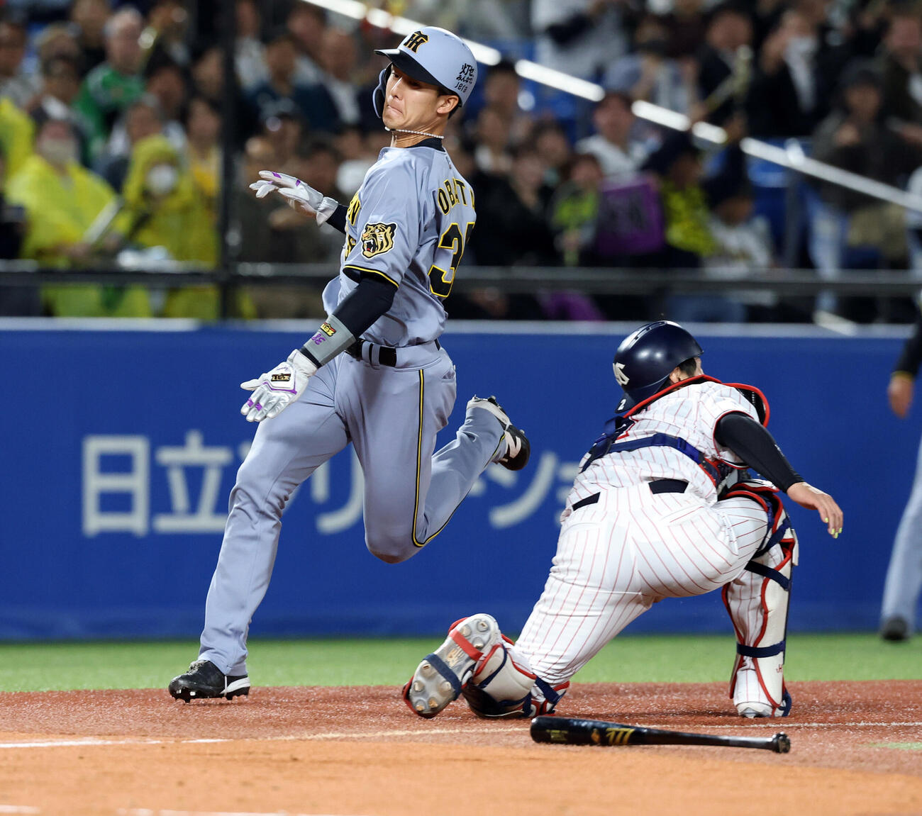 ヤクルト対阪神　3回表阪神2死二塁、伏見寅威の適時打で、二塁走者小幡竜平は一気に本塁を突いて生還（撮影・浅見桂子）