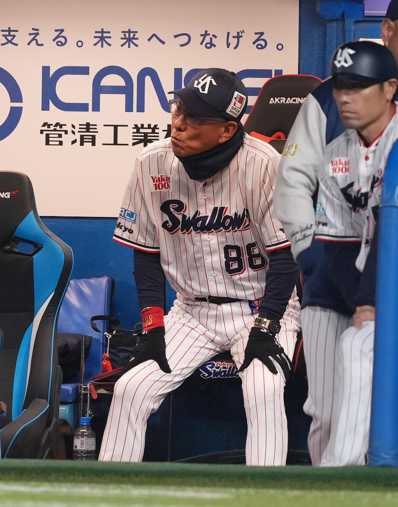 ヤクルト対阪神　戦況を見つめるヤクルト池山隆寛監督（撮影・足立雅史）