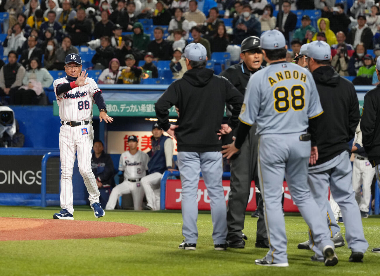 ヤクルト対阪神　8回表阪神1死一塁、森下翔太の四球にベンチを出る阪神のスタッフらを制止するしぐさを見せるヤクルト池山隆寛監督（左）（撮影・足立雅史）