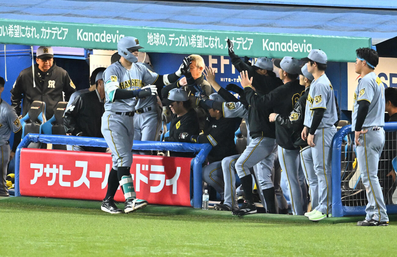 ヤクルト対阪神　7回表阪神1死、ソロ本塁打を放った佐藤輝明（手前）はチームメートとタッチをかわす（撮影・滝沢徹郎）