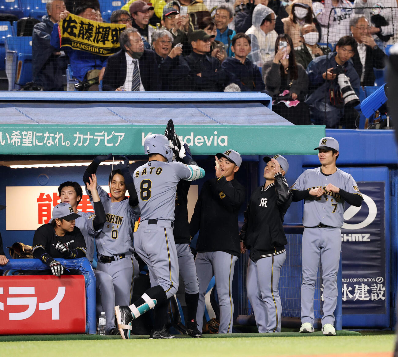 ヤクルト対阪神　7回表阪神1死、佐藤輝明（手前）がソロ本塁打を放ちハイタッチで迎える中野拓夢（右）ら（撮影・浅見桂子）