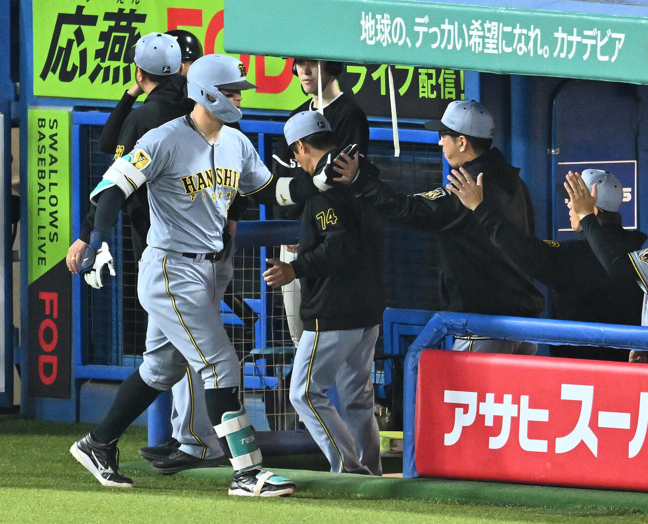 ヤクルト対阪神　7回表阪神1死、ソロ本塁打を放った佐藤輝明（手前）とタッチを交わす藤川球児監督（撮影・滝沢徹郎）