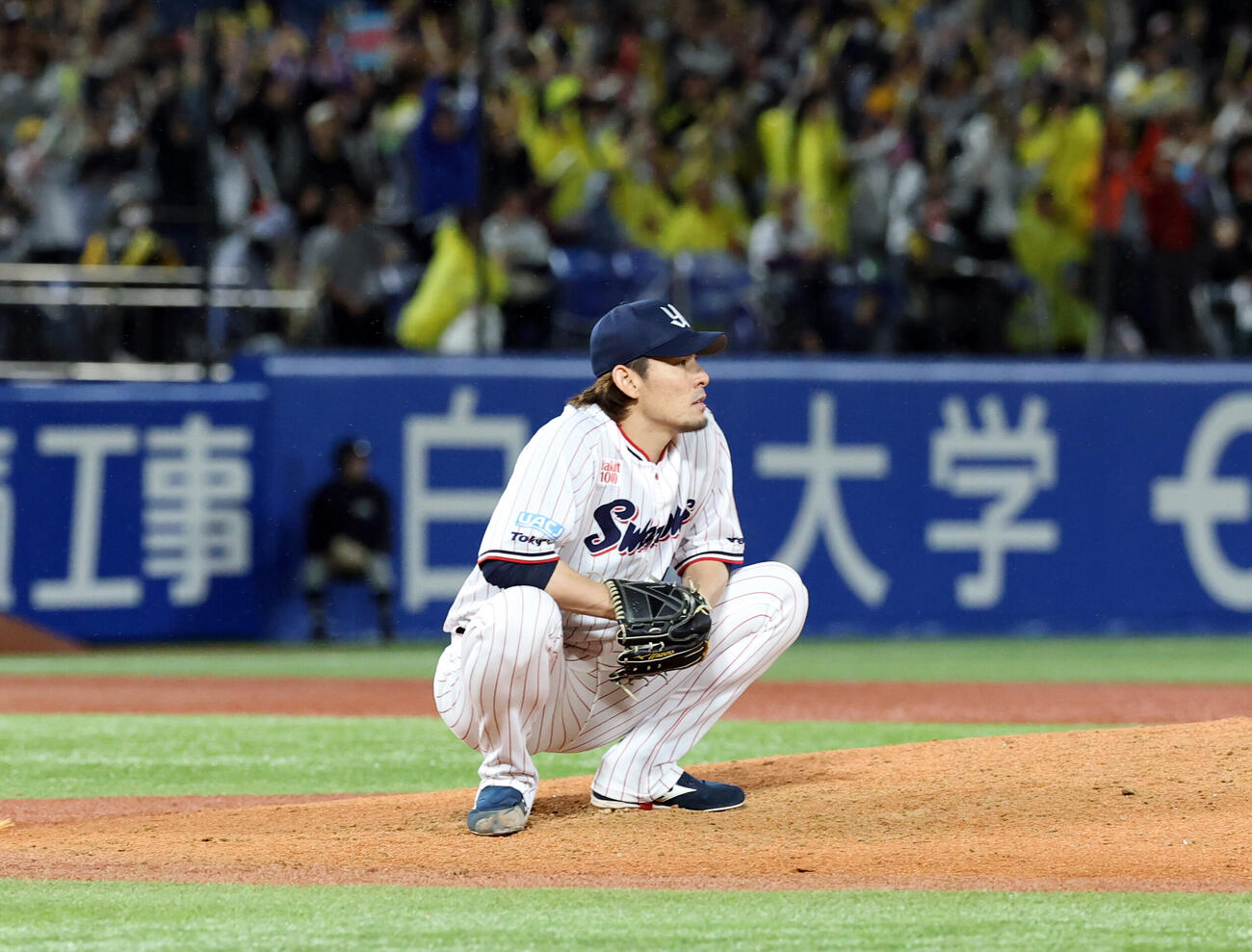 ヤクルト対阪神　7回表阪神1死、佐藤輝明にソロ本塁打を許し座り込む高梨裕稔（撮影・浅見桂子）