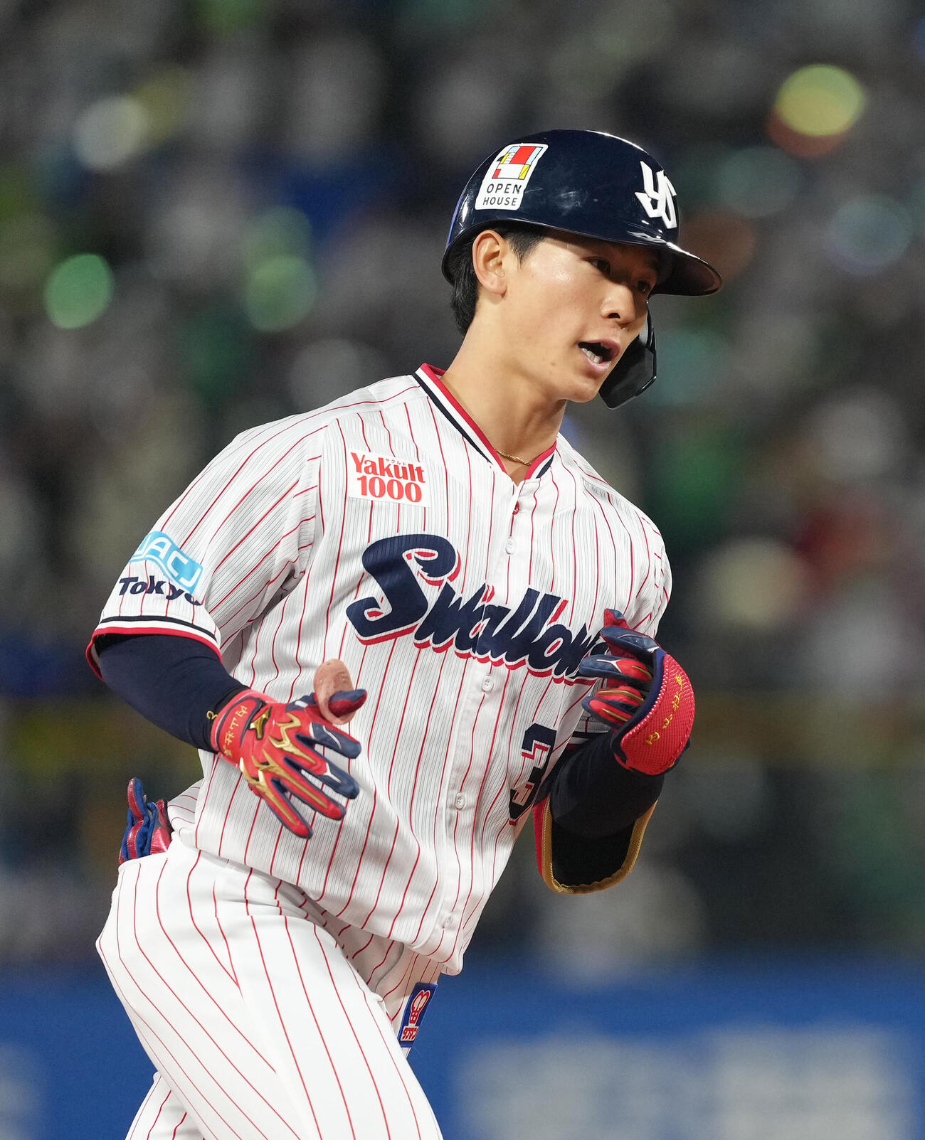 ヤクルト対阪神　2回裏ヤクルト1死、内山壮真はソロ本塁打を放ちタッチを交わす（撮影・足立雅史）