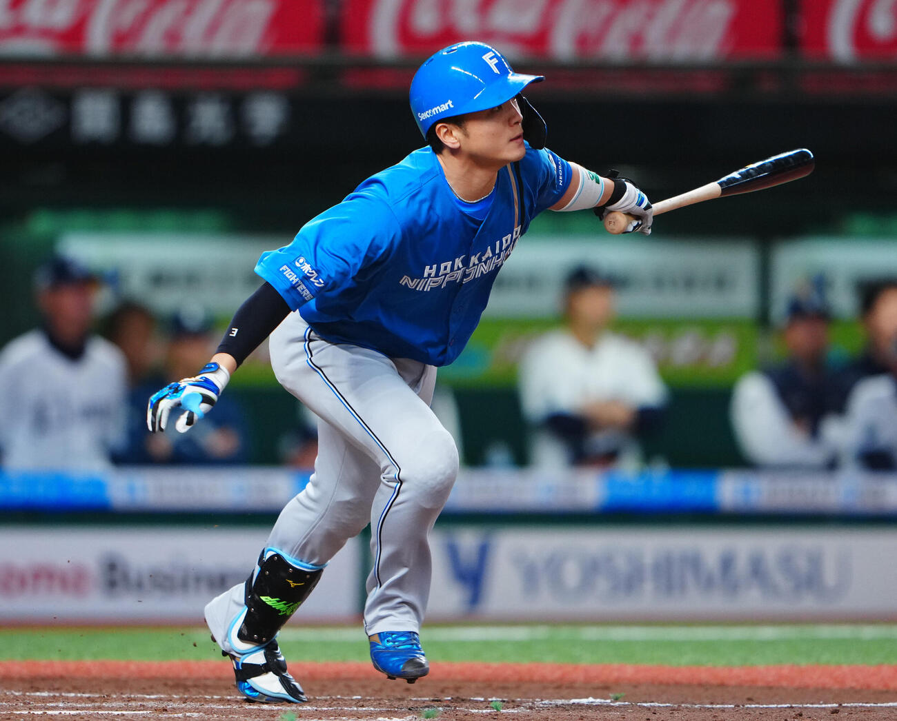 西武対日本ハム　8回表日本ハム1死満塁、右犠飛を放つ郡司裕也（撮影・垰建太）