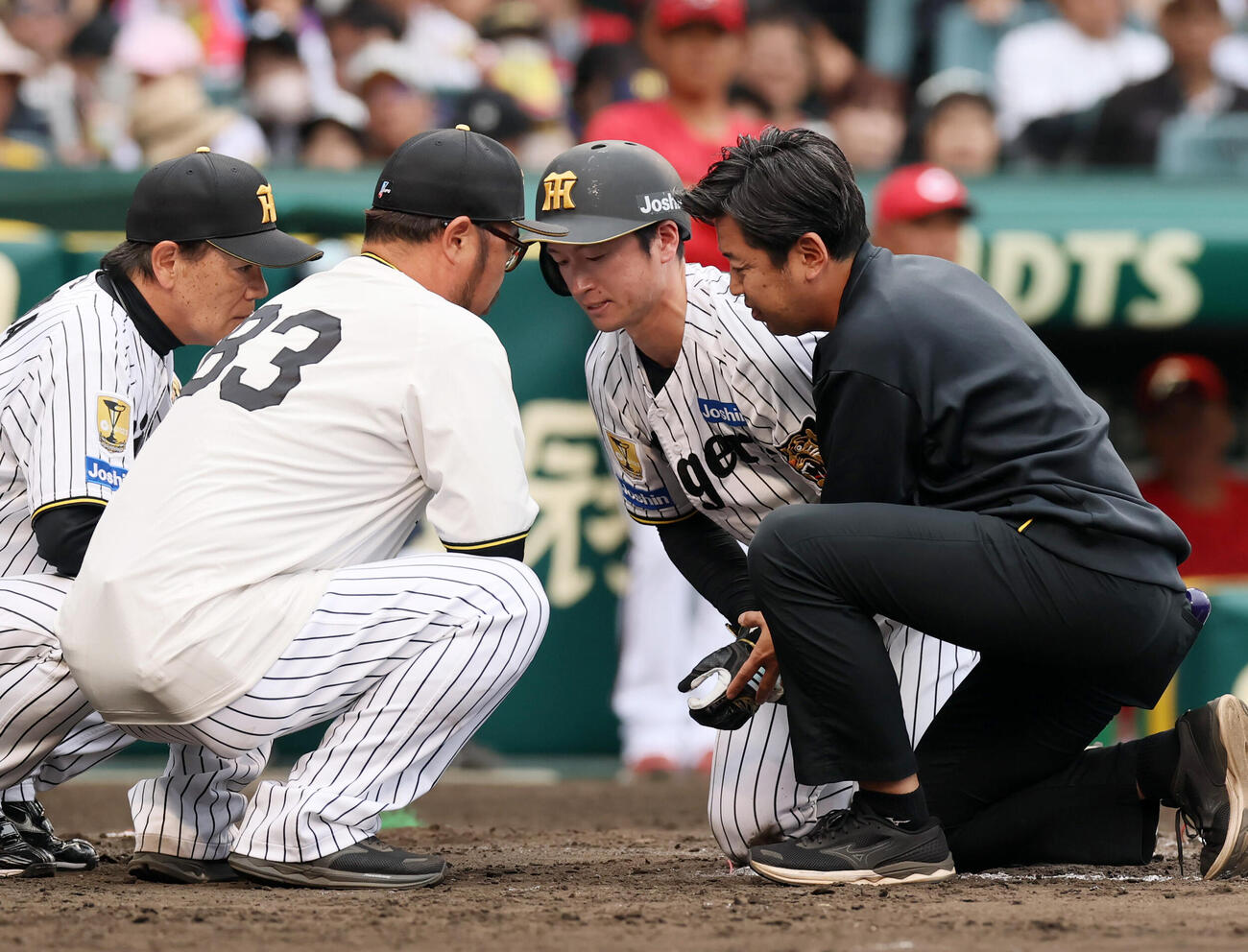 2026年4月26日、死球を受け左手首付近をトレーナーに支えられる阪神近本