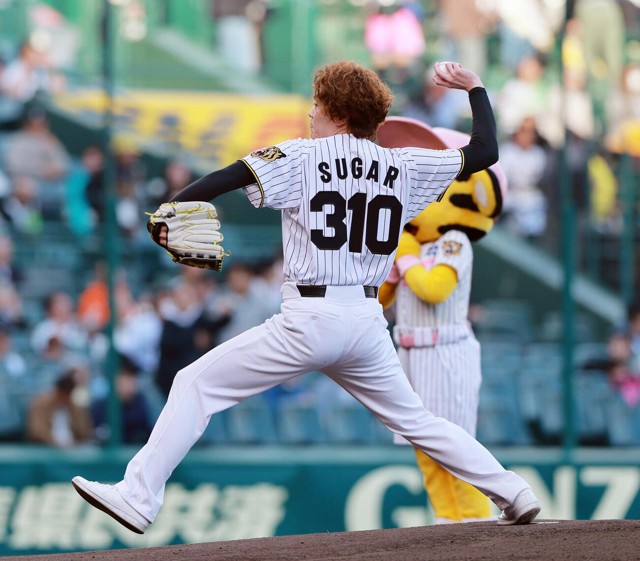 阪神対巨人　ファーストピッチで投球するLE VELVETSの佐藤隆紀（撮影・上山淳一）