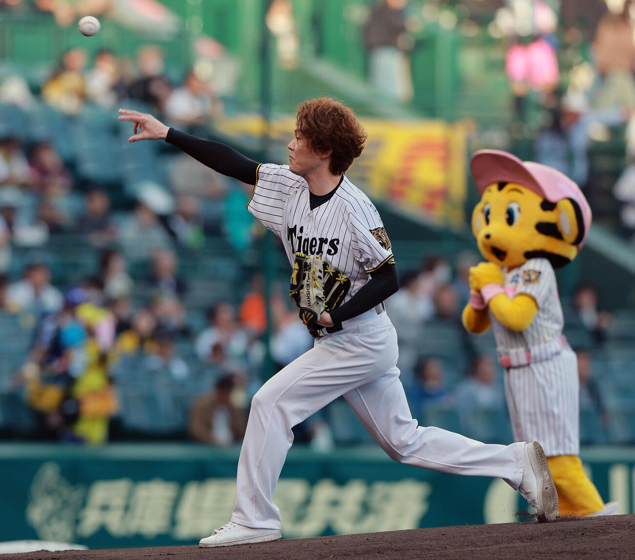 阪神対巨人　ファーストピッチで投球するLE VELVETSの佐藤隆紀（撮影・上山淳一）