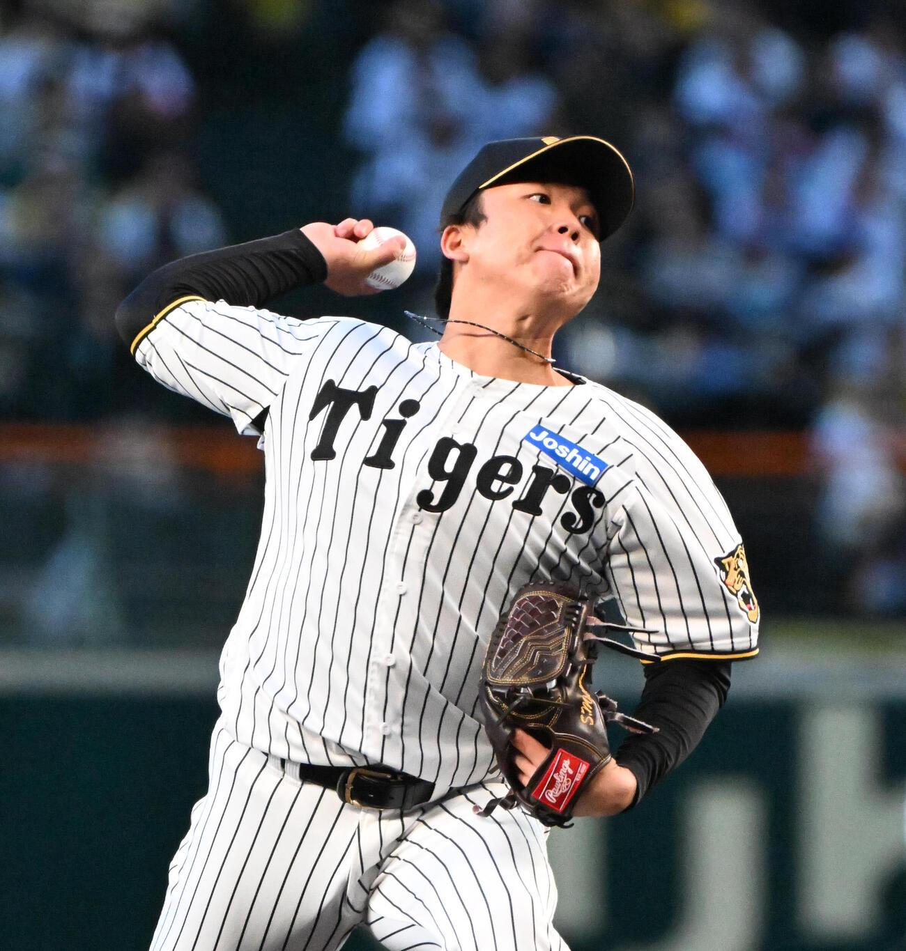 阪神先発の阪神村上頌樹（撮影・石井愛子）