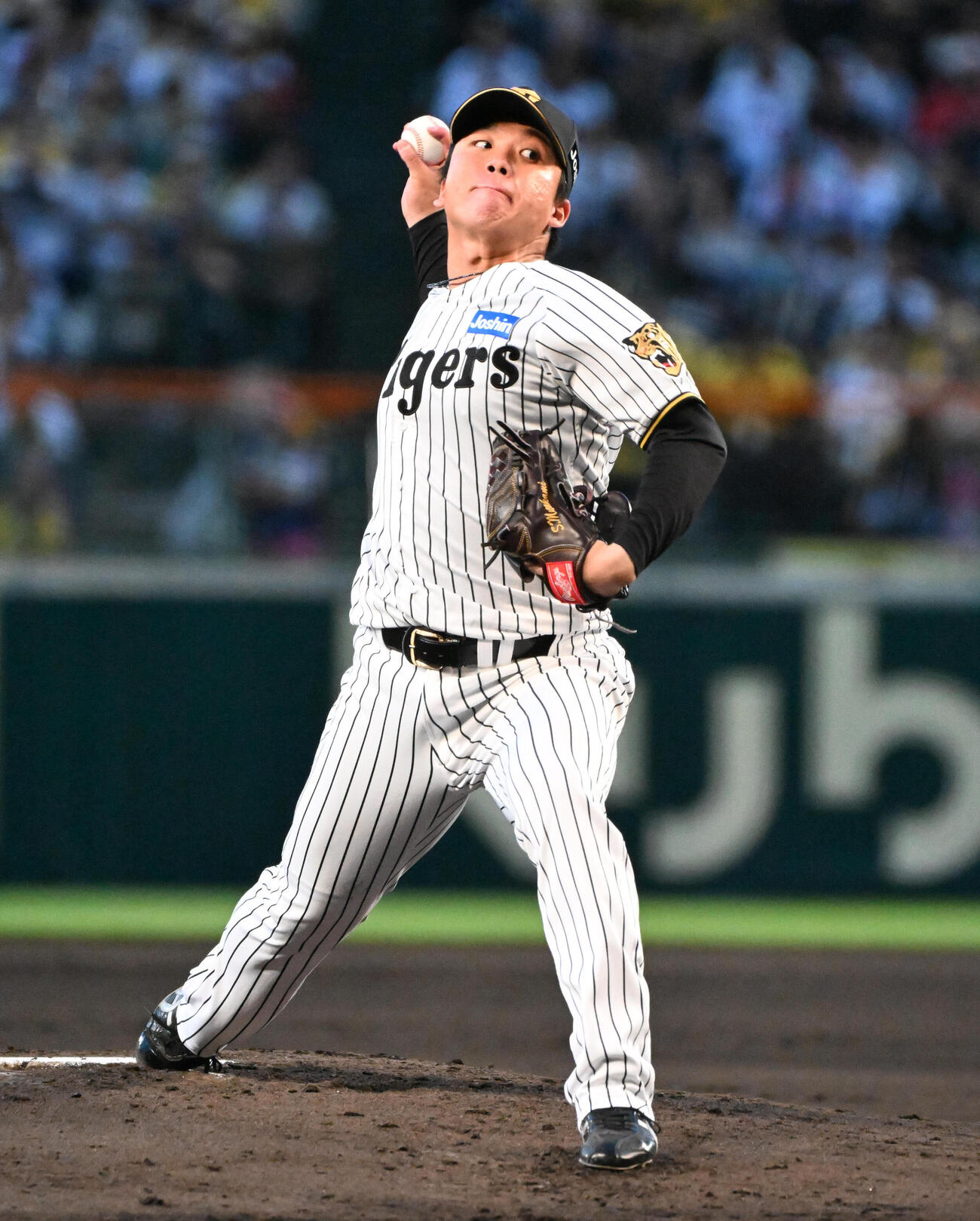阪神先発の阪神村上頌樹（撮影・石井愛子）