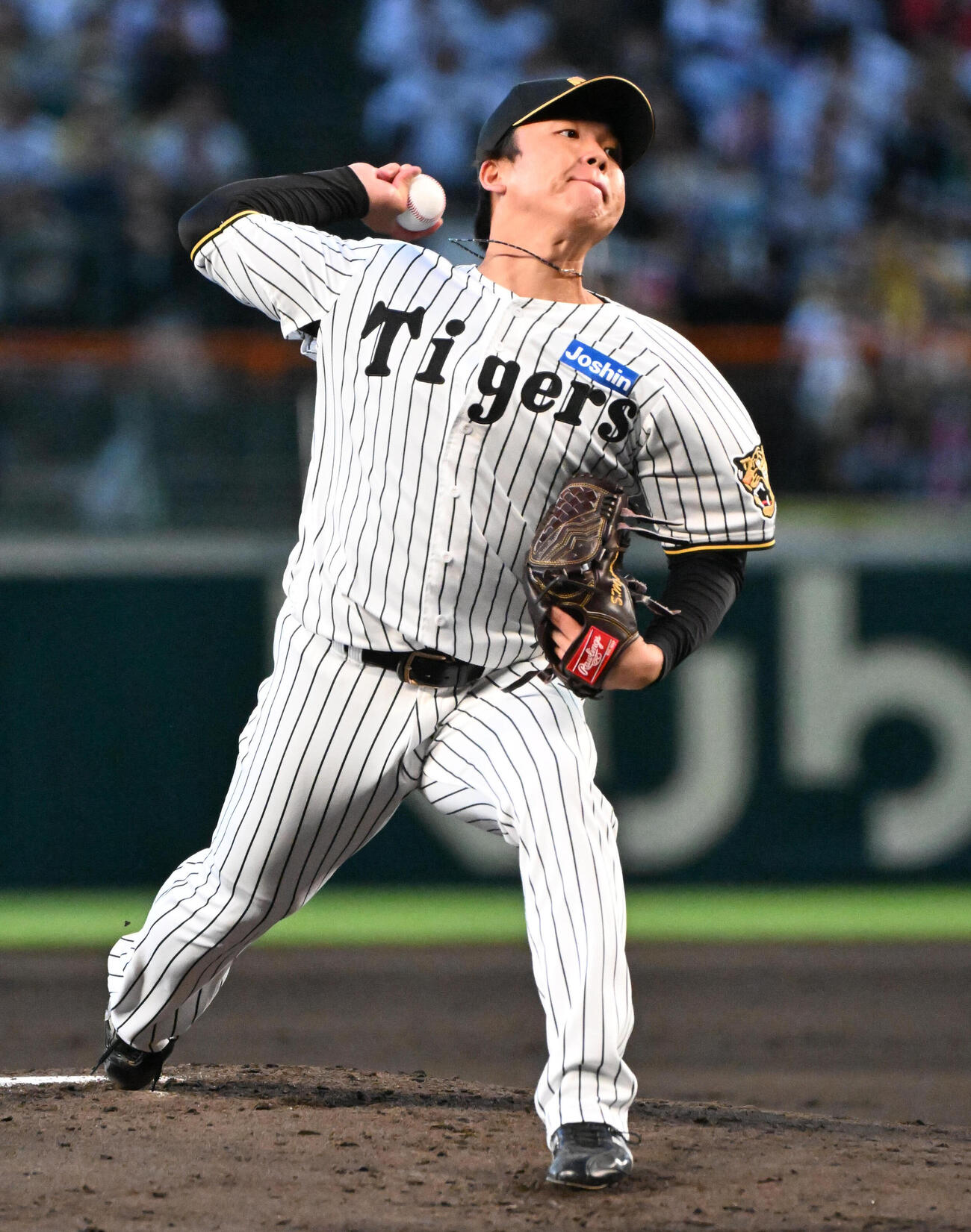 阪神先発の阪神村上頌樹（撮影・石井愛子）