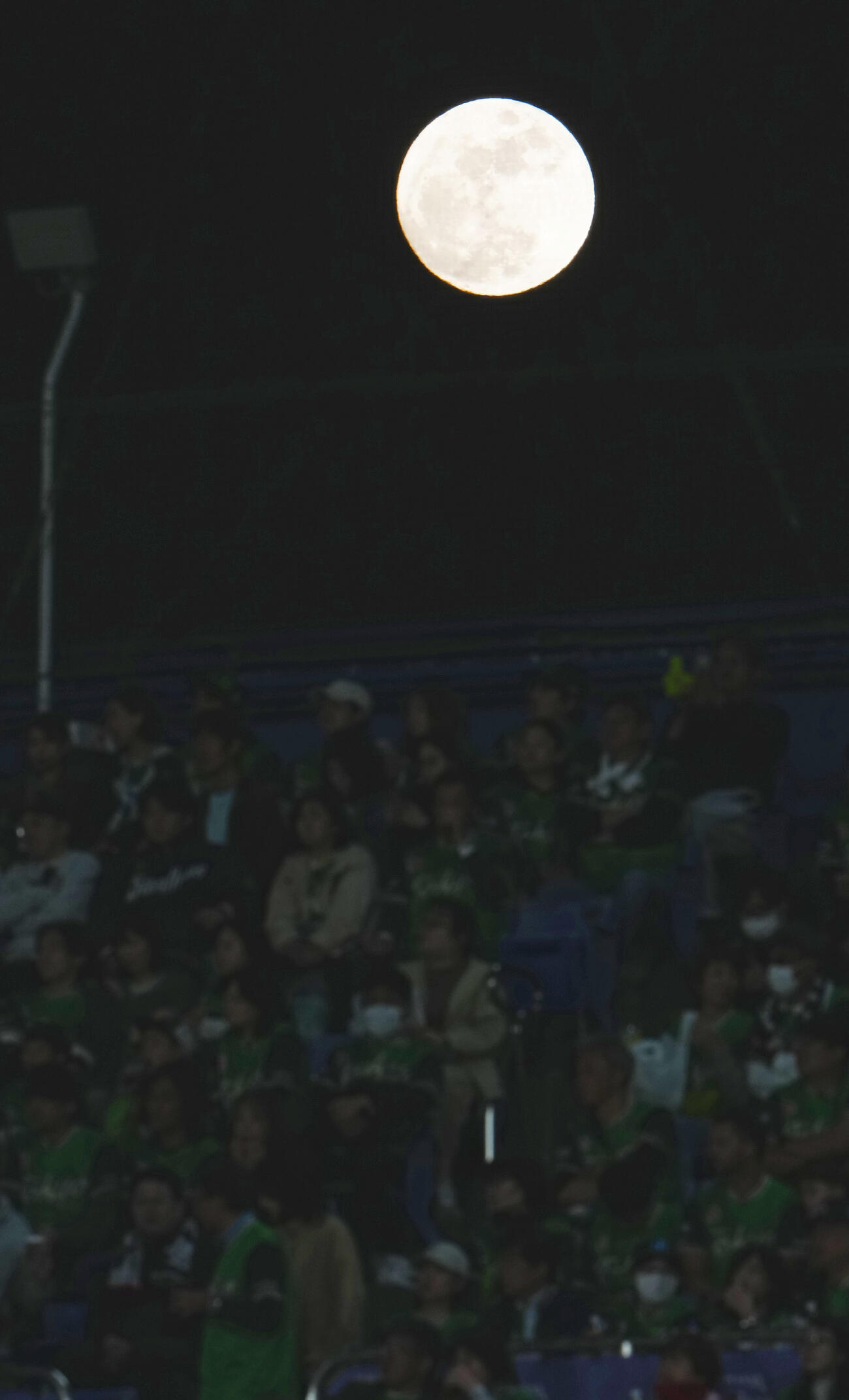 ヤクルト対DeNA　神宮球場のスタンドの上空に上がる満月（撮影・垰建太）