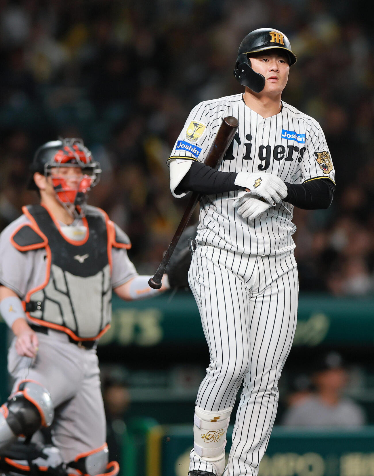 阪神対巨人　6回裏阪神1死満塁、代打前川右京は押し出し四球を選ぶ（撮影・上山淳一）..