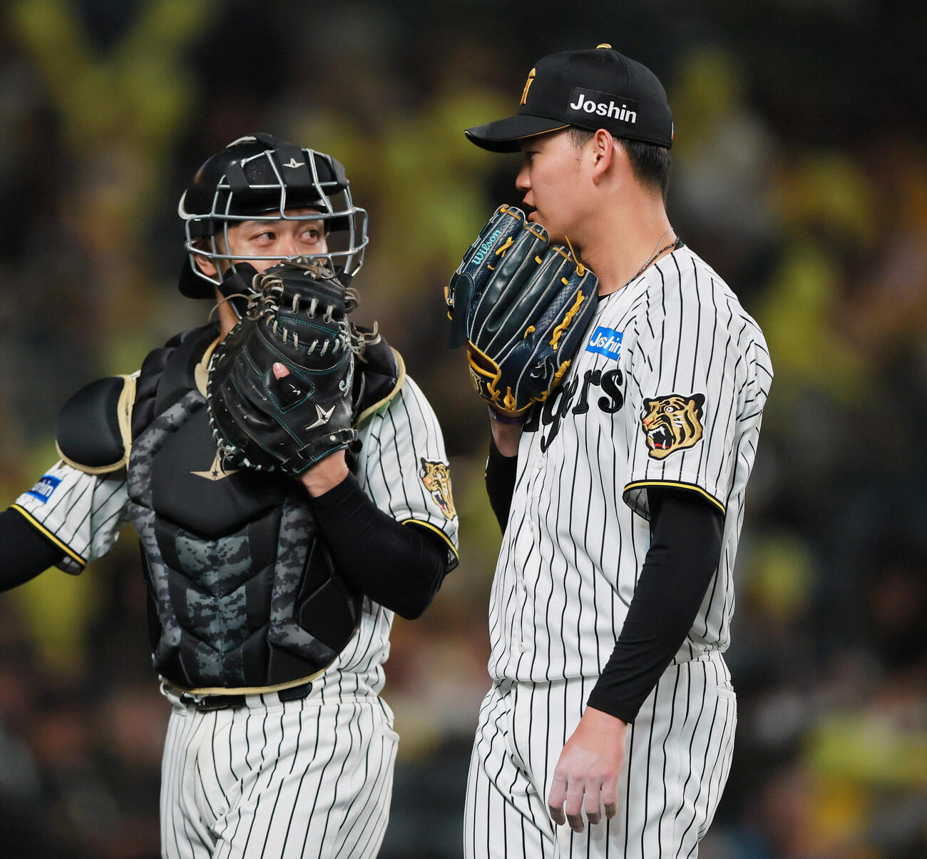 阪神対巨人　7回に登板した阪神及川雅貴（右）は無失点に終え坂本誠志郎の話を聞きながらベンチに引き揚げる（撮影・上山淳一）.