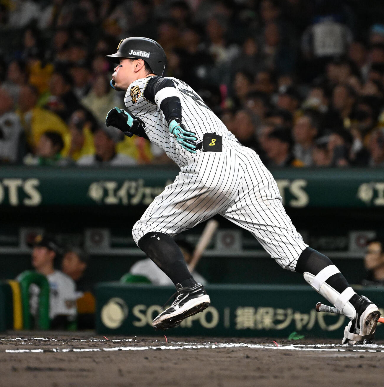阪神対巨人　7回裏阪神1死　佐藤輝明は右前打を放つ（撮影・石井愛子）