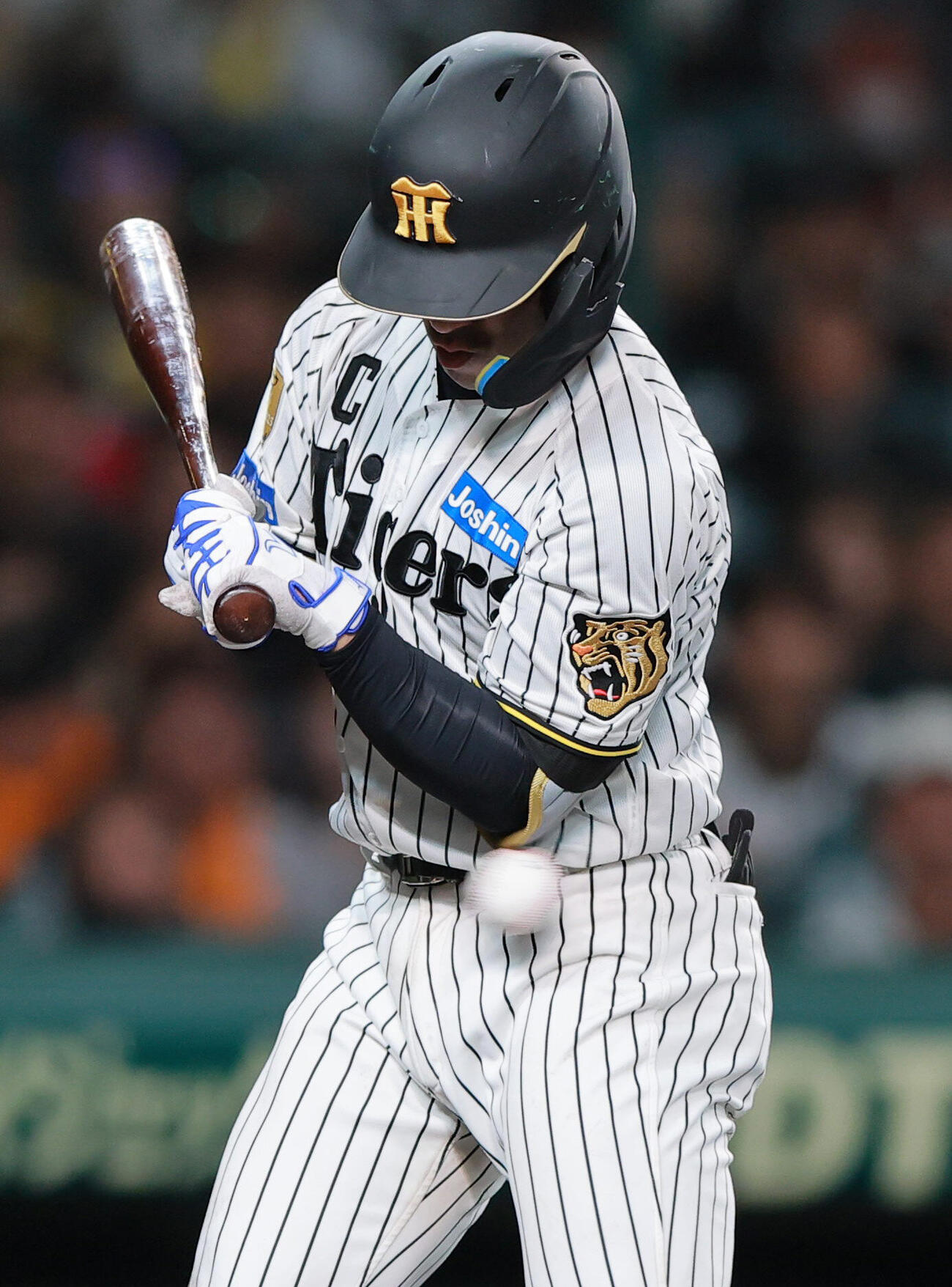阪神対巨人　8回裏阪神無死、死球を受ける坂本誠志郎（撮影・上山淳一）