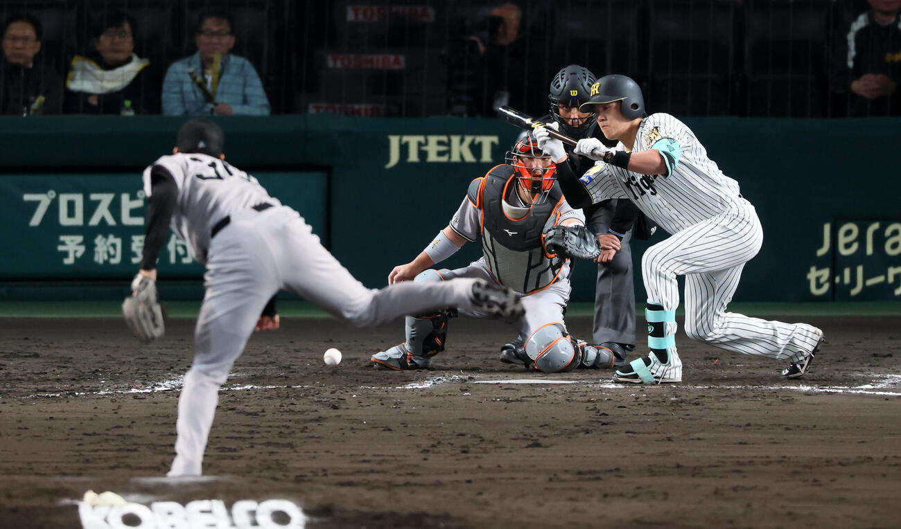 阪神対巨人　8回裏阪神無死、一、二塁、代打伏見寅威は送りバントを決める。投手田和廉（撮影・加藤哉）