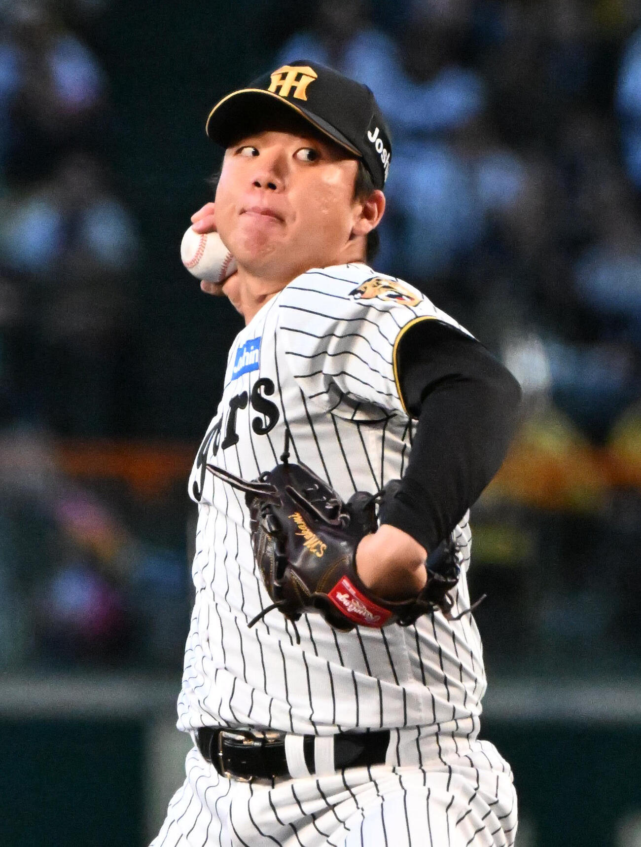 阪神先発の阪神村上頌樹（撮影・石井愛子）