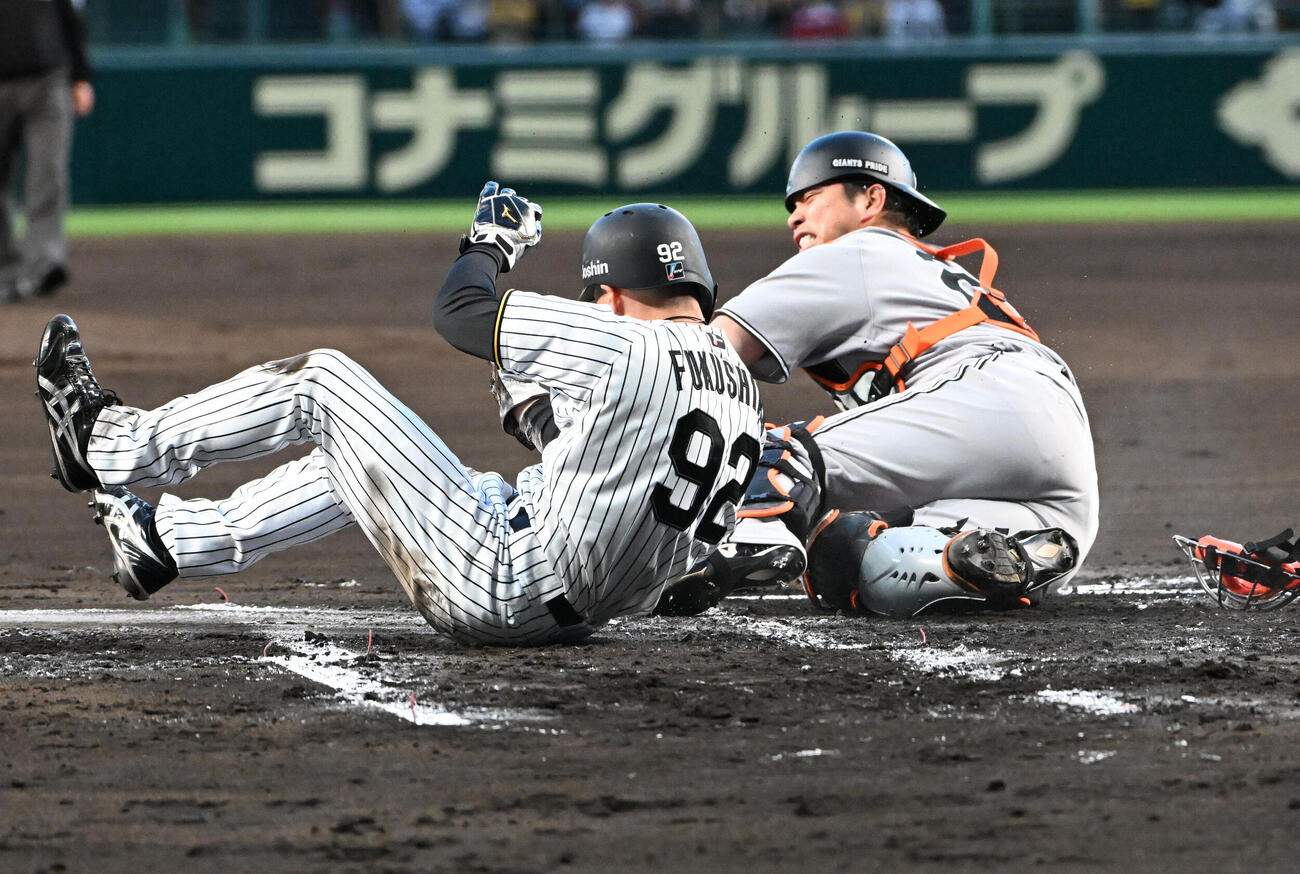 阪神対巨人　1回裏阪神1死満塁、三走福島圭音（左）は大山悠輔の投ゴロで本塁へ突入するも憤死。捕手大城卓三（撮影・石井愛子）