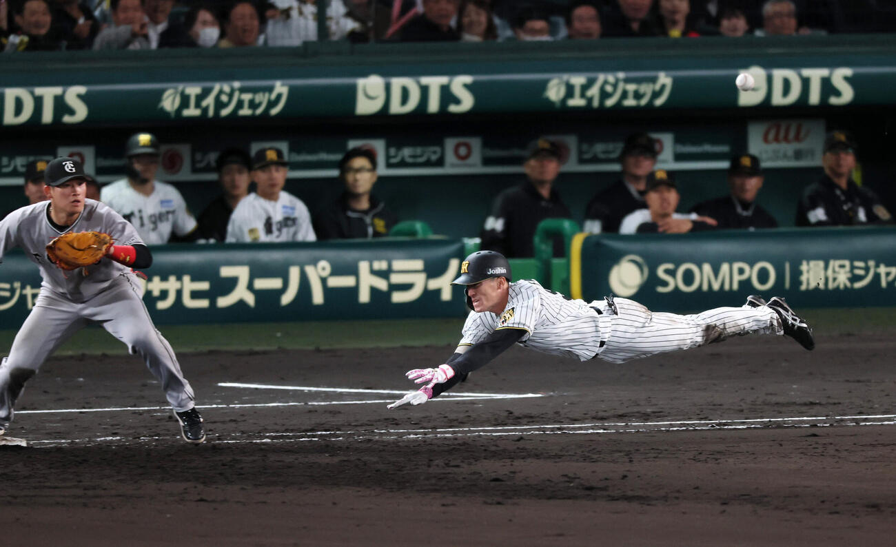 阪神対巨人　6回裏阪神1死満塁、福島圭音は二ゴロを打って一塁にヘッドスライディングするが併殺となる（撮影・加藤哉）