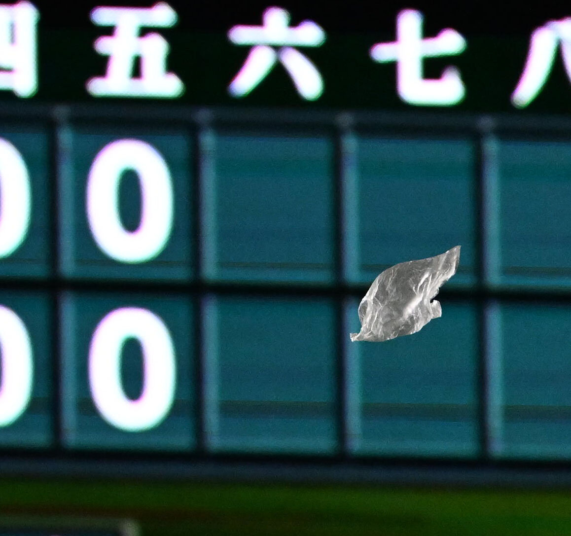 阪神対巨人　風でグラウンド上空に飛ばされる袋（撮影・石井愛子）
