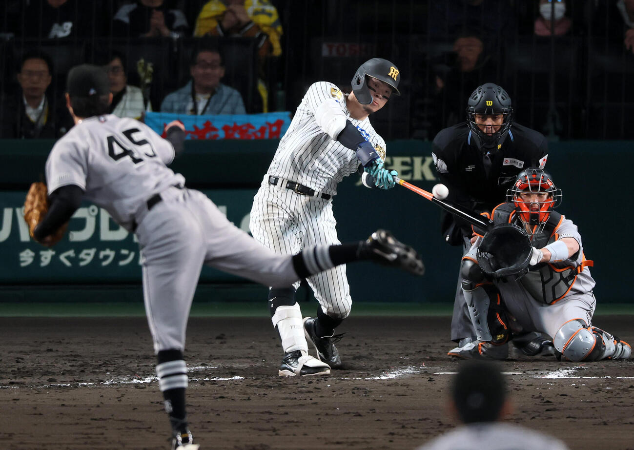 阪神対巨人　7回裏阪神1死、佐藤輝明は右前打を放つ。投手田中瑛斗（撮影・加藤哉）