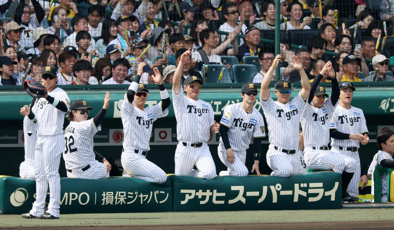 阪神対巨人　1回裏阪神2死二塁、佐藤輝明の左越え適時二塁打にベンチで盛り上がるナイン　（撮影・加藤哉）