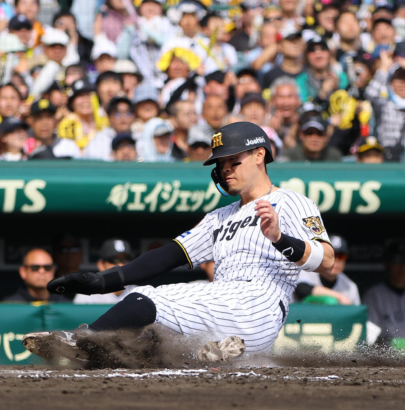 阪神対巨人　3回裏阪神1死一塁、大山悠輔の適時三塁打で生還する佐藤輝明（撮影・上田博志）