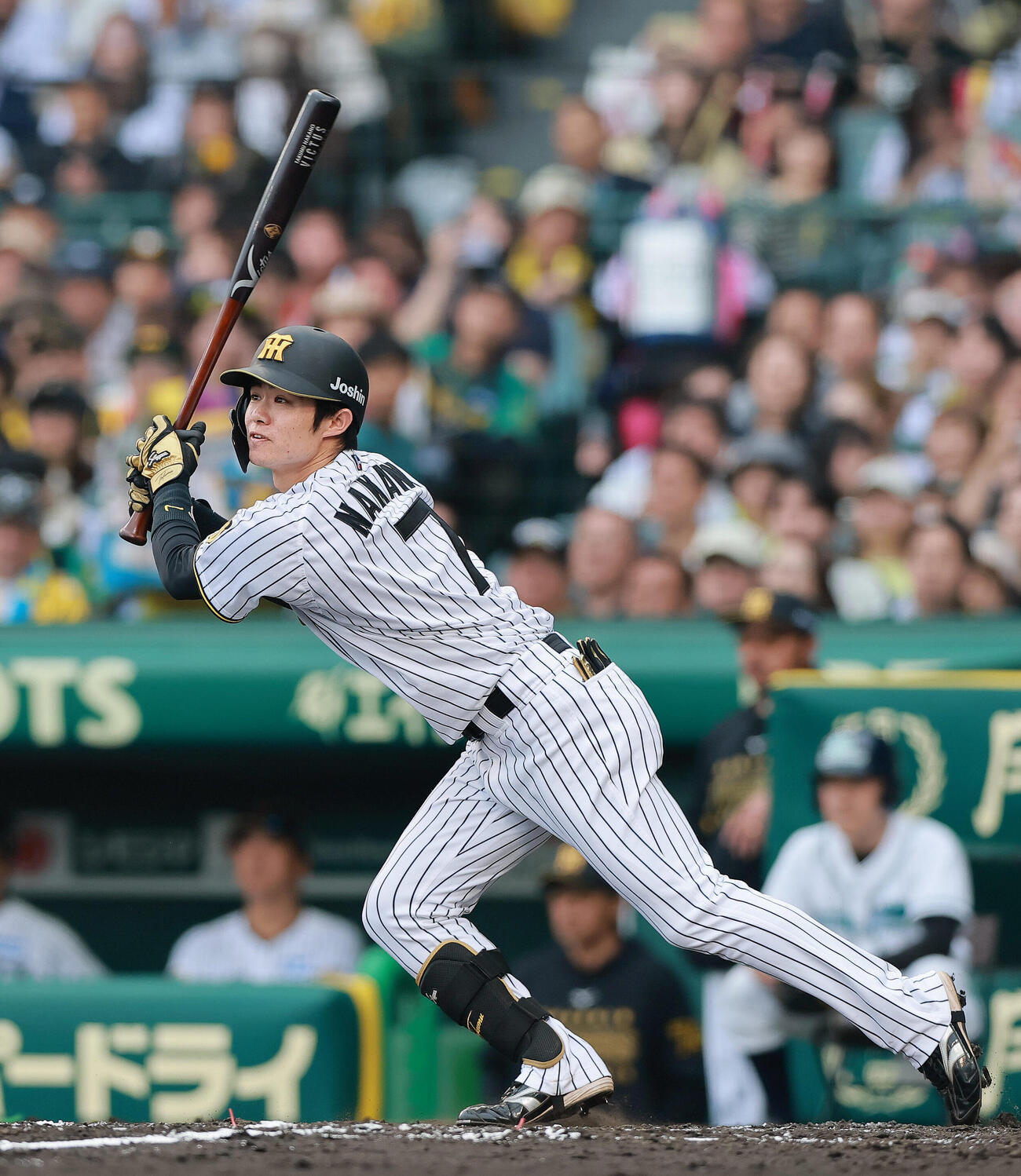 阪神対巨人　7回裏阪神1死満塁、代打中野拓夢は2点適時打を放つ（撮影・上山淳一）