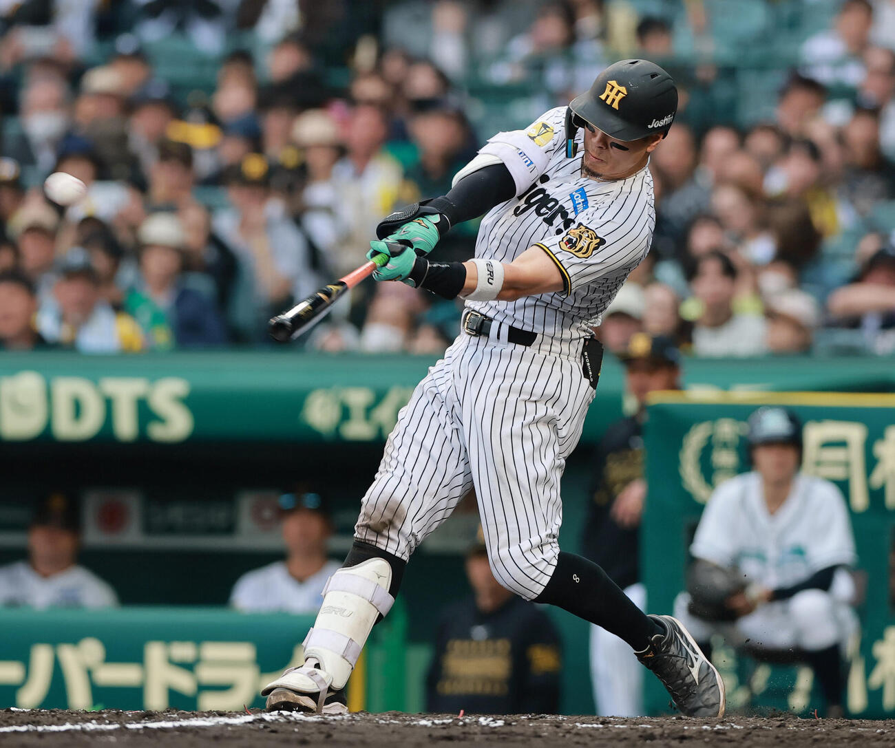 阪神対巨人　8回裏阪神無死、佐藤輝明はソロ本塁打を放つ（撮影・上山淳一）