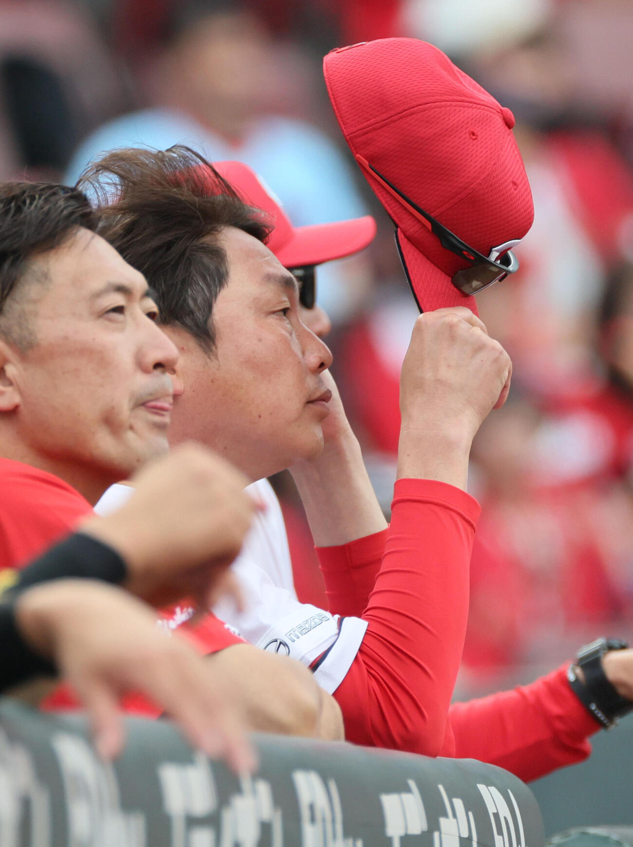 広島対中日　8回裏広島、ベンチの新井貴浩監督（撮影・加藤孝規）