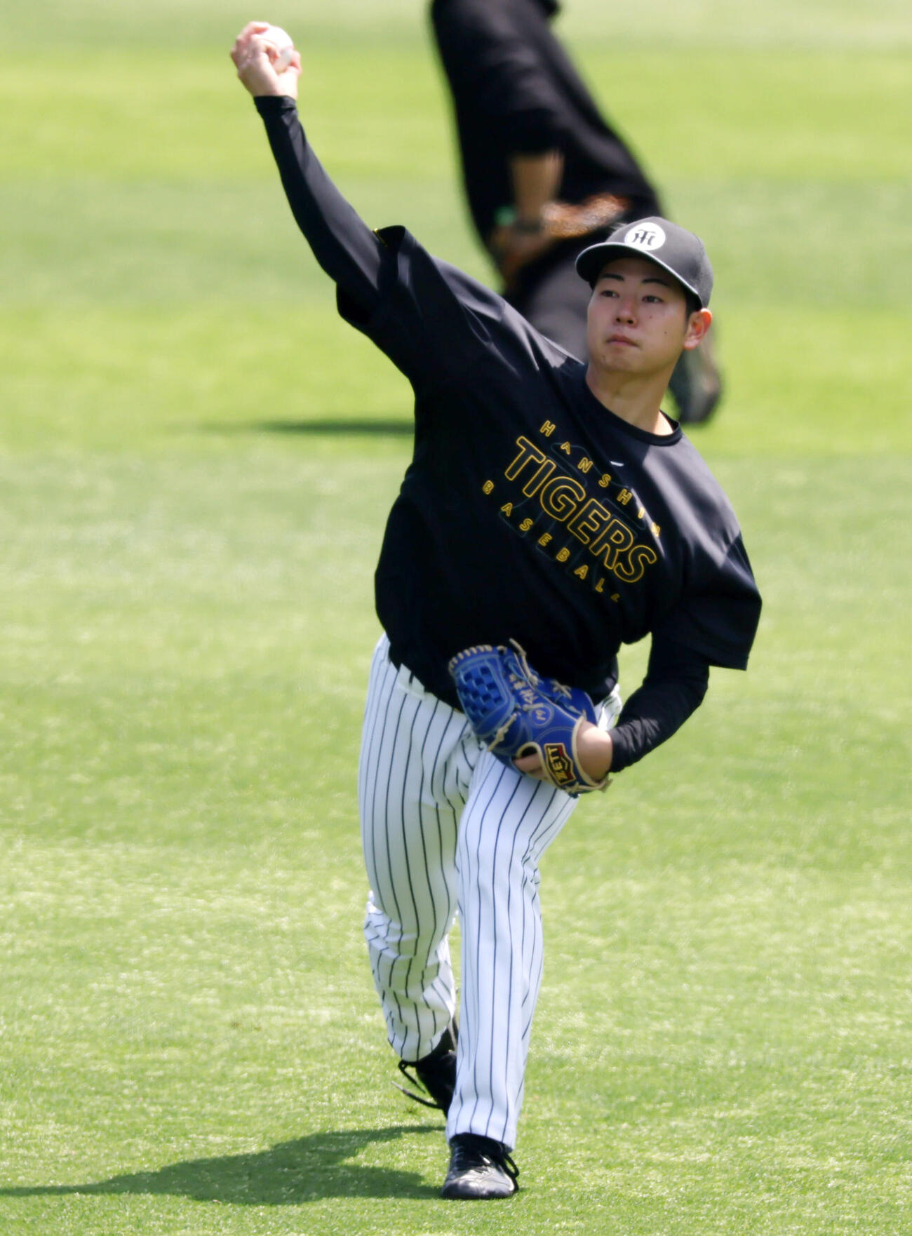 阪神対巨人　練習に参加しキャッチボールする阪神下村海翔　（撮影・加藤哉）