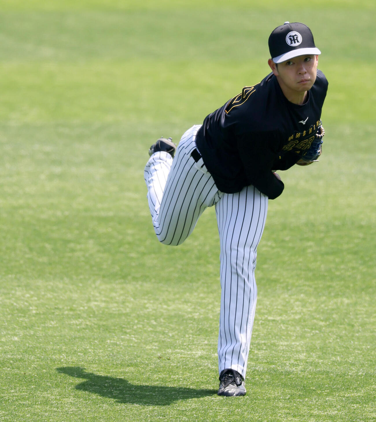 阪神対巨人　練習に参加しキャッチボールする阪神下村海翔　（撮影・加藤哉）