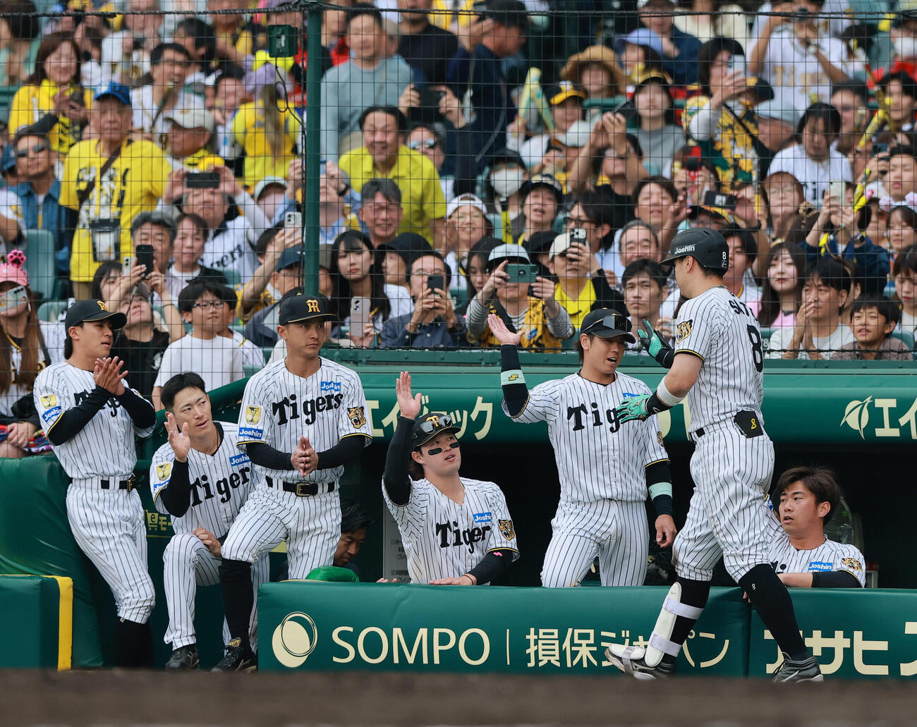 阪神対巨人　8回裏阪神無死、佐藤輝明（手前）はソロ本塁打を放ち祝福を受ける（左から2人目）（撮影・上山淳一）