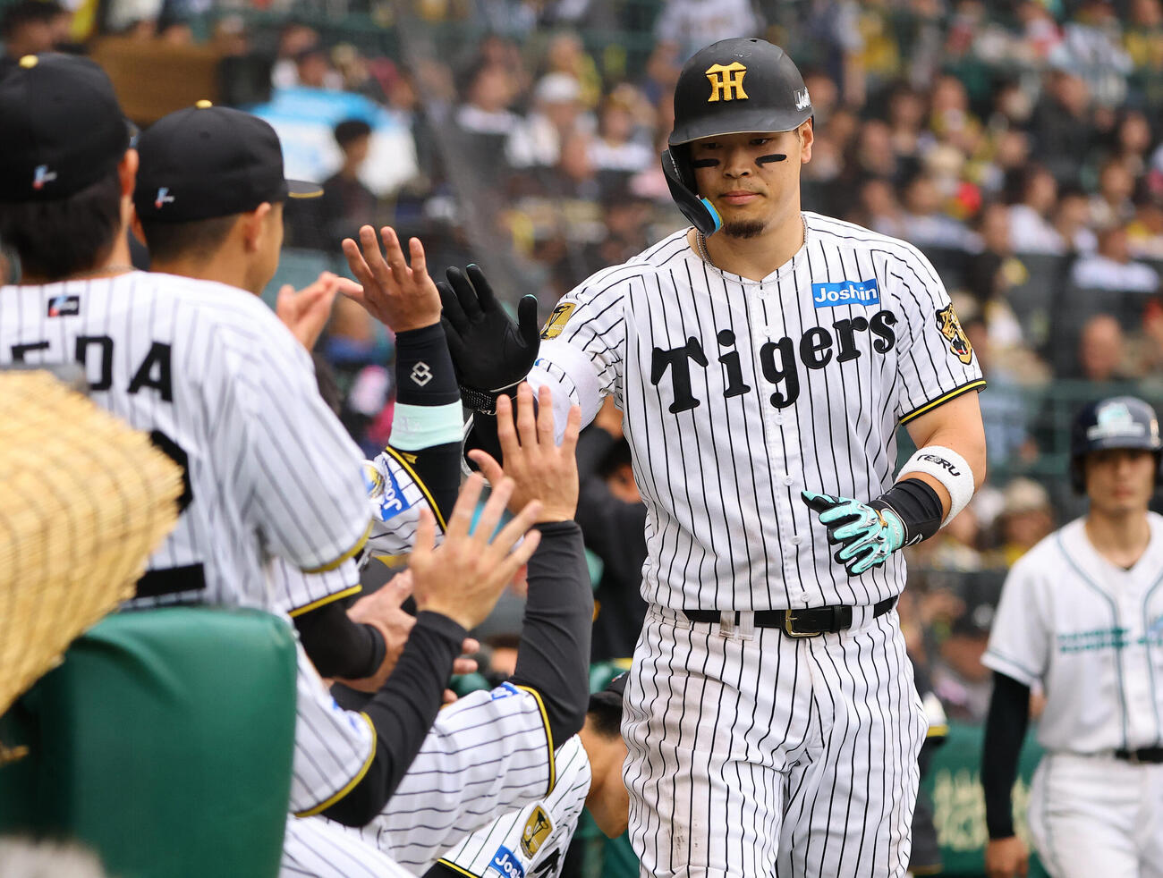 阪神対巨人　8回裏阪神無死、ソロ本塁打を放った佐藤輝明はナインとハイタッチをする（撮影・上田博志）