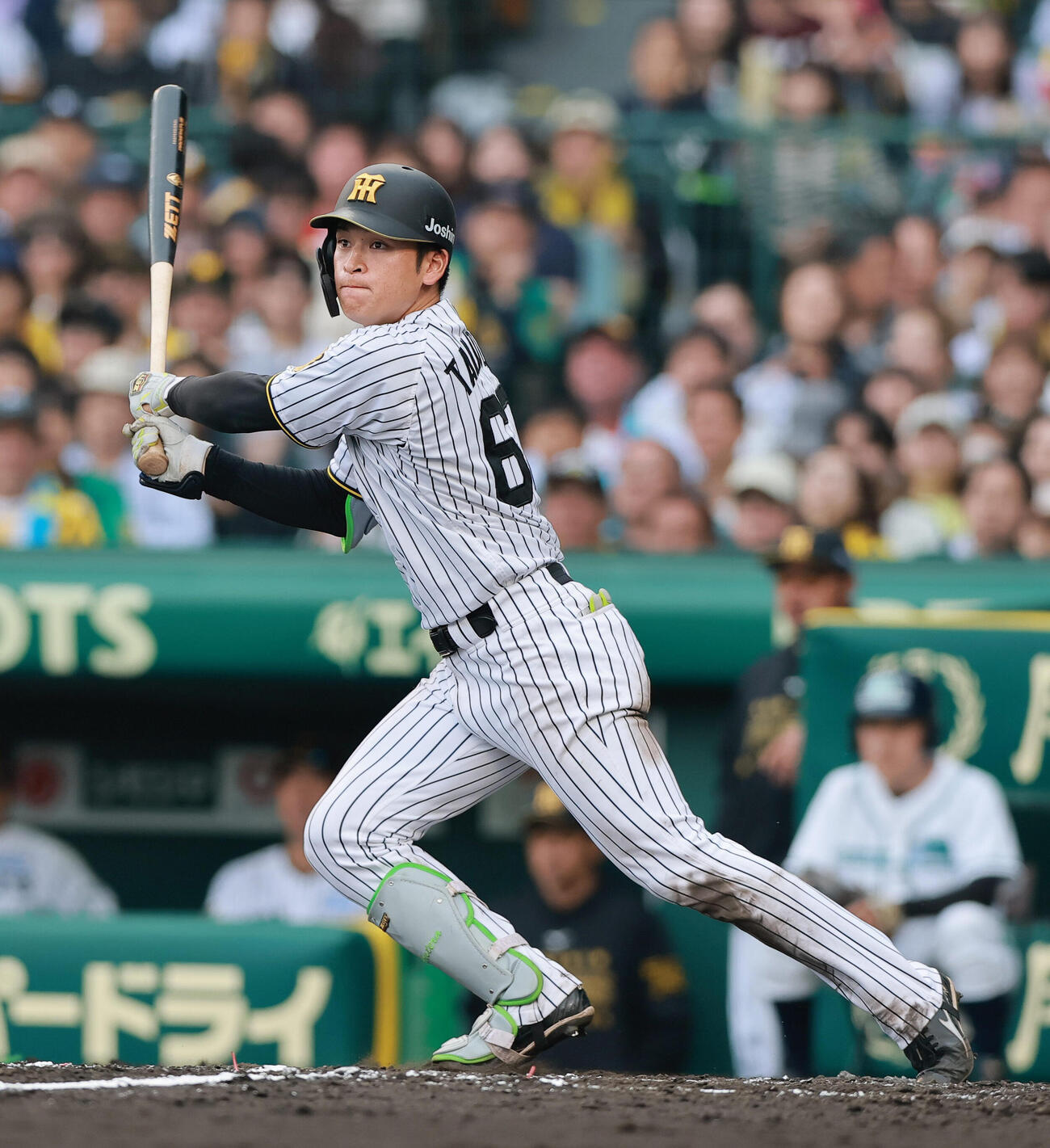 阪神対巨人　7回裏阪神1死満塁、高寺望夢は適時打を放つ（撮影・上山淳一）