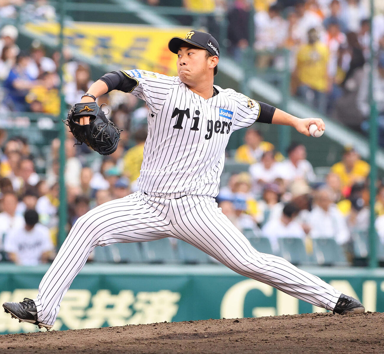 阪神対巨人　阪神2番手の桐敷拓馬（撮影・上田博志）